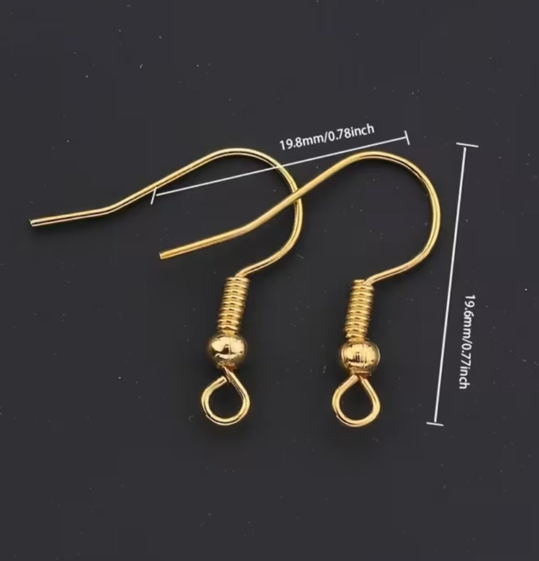 Stainless steel Silver & Gold Earring Hooks (19*20mm)